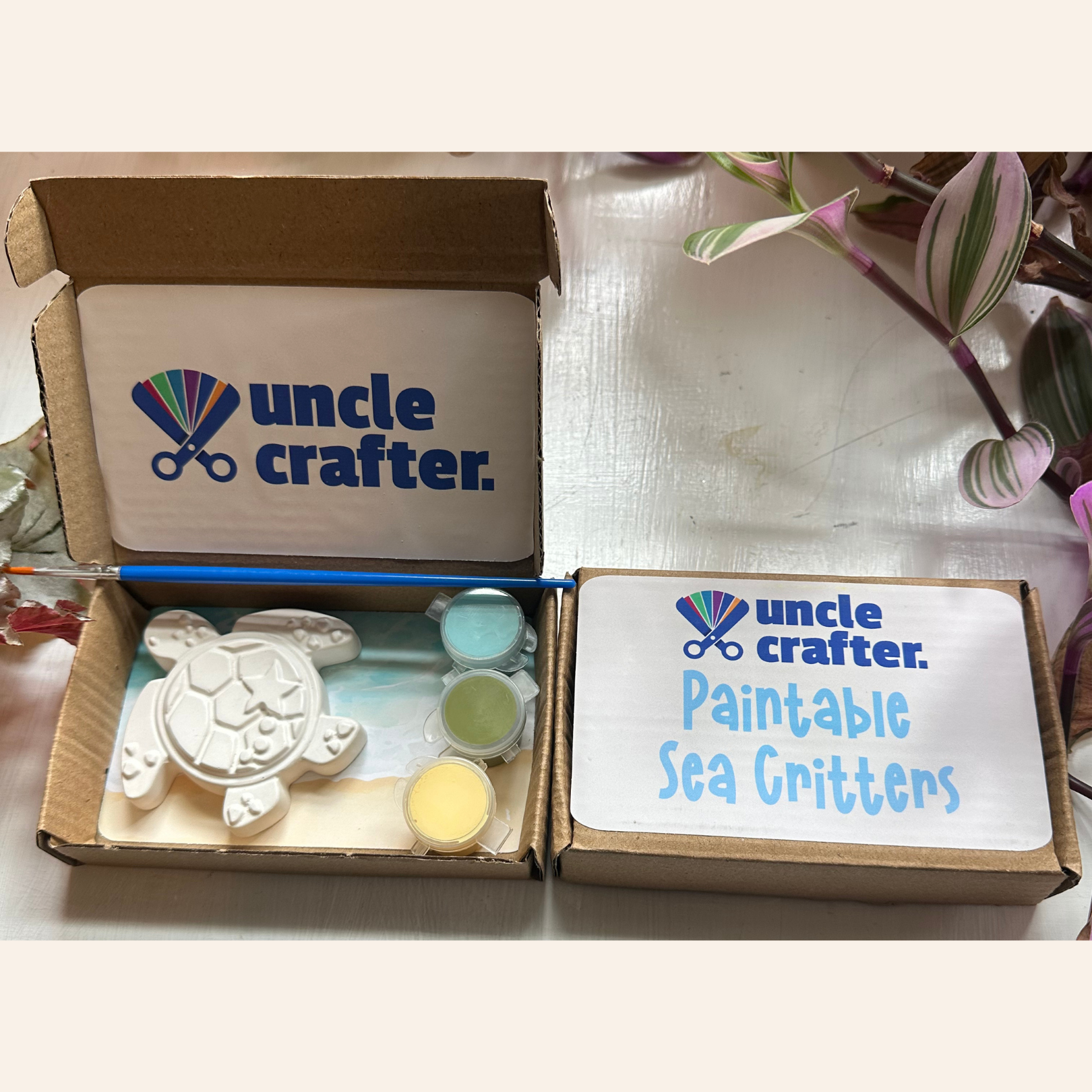 Paintable Sea Critters: Sea Turtle Painting Kit