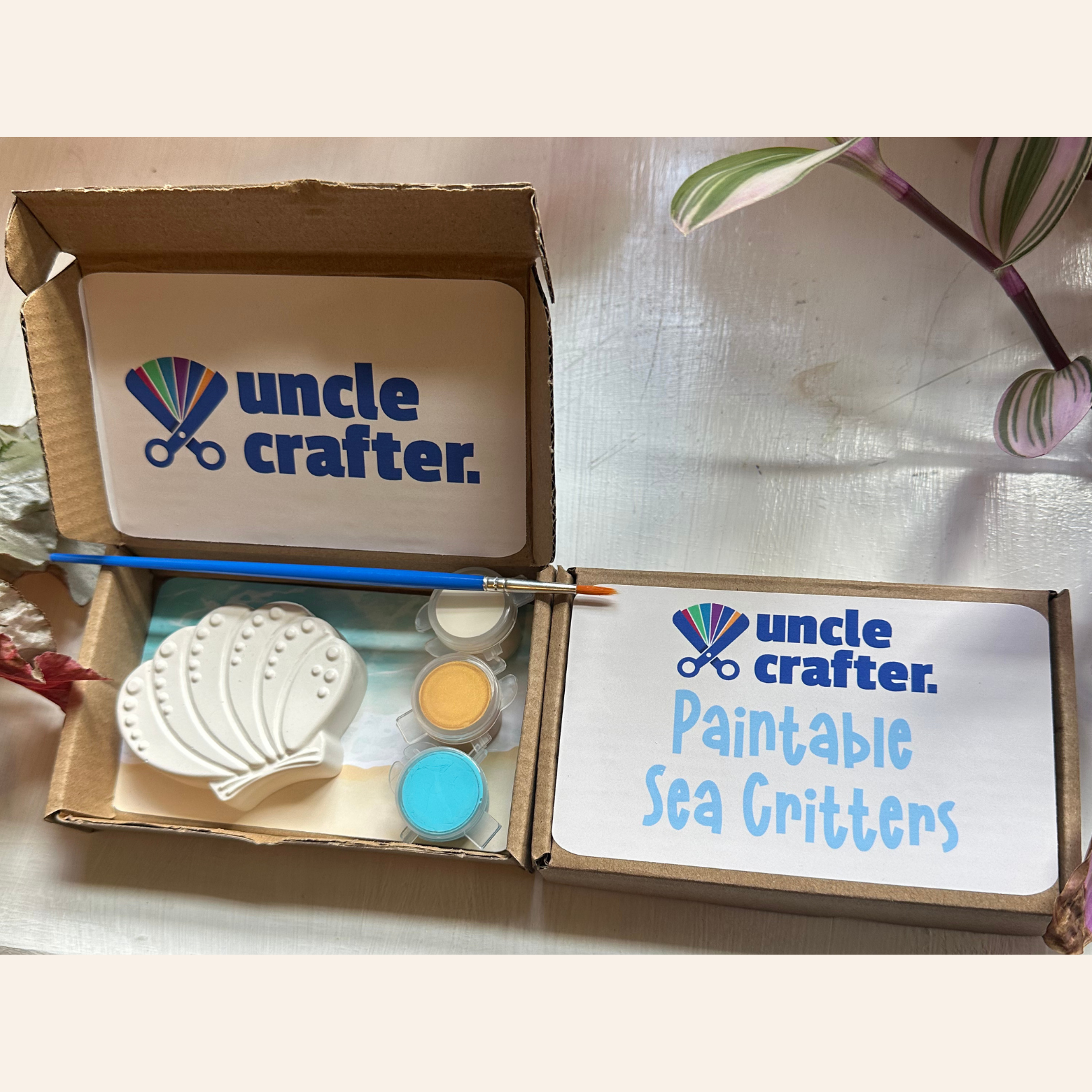 Paintable Sea Critters: Seashell Painting Kit